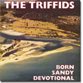 Born Sandy Devotional